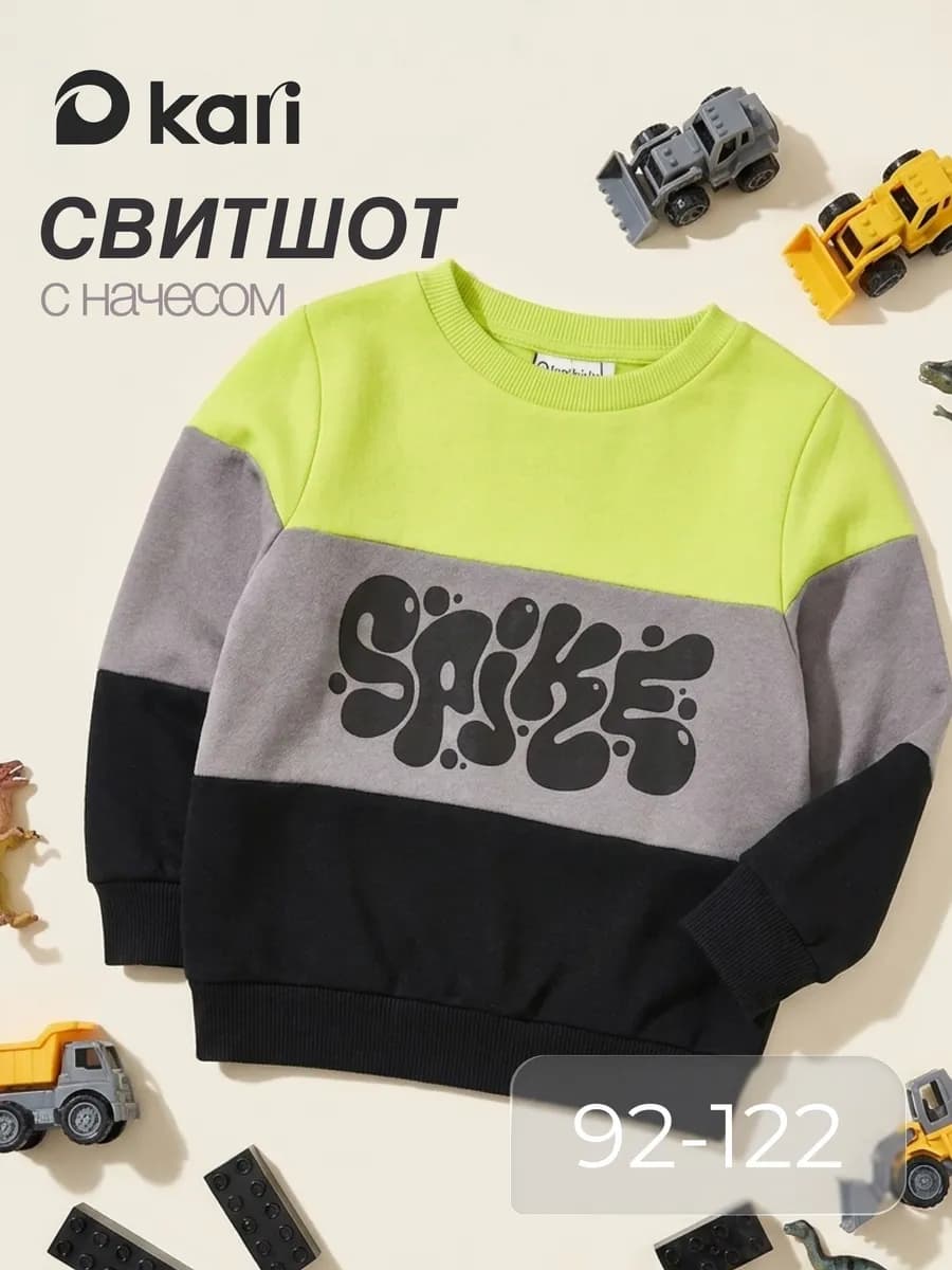 Свитшот для мальчика утепленный с начесом