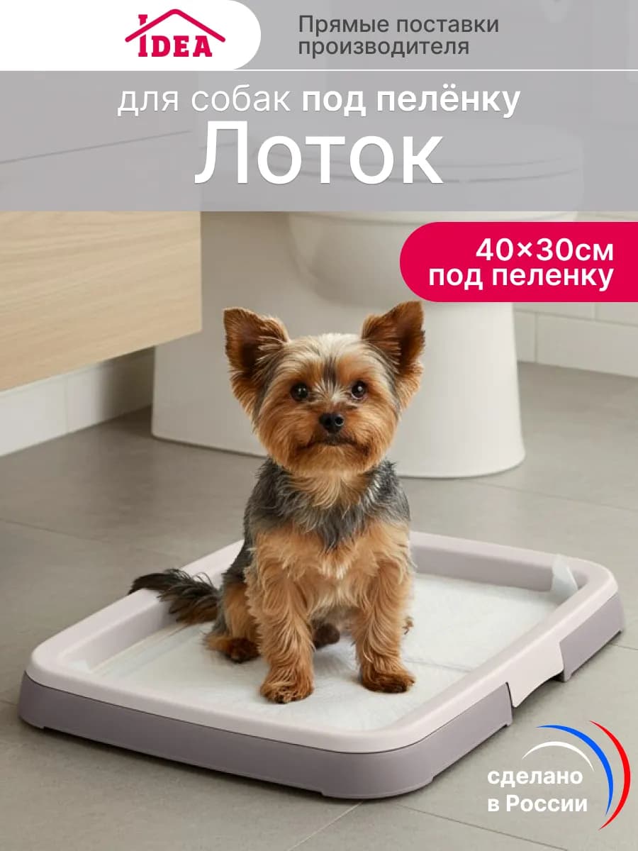 Лоток для собак