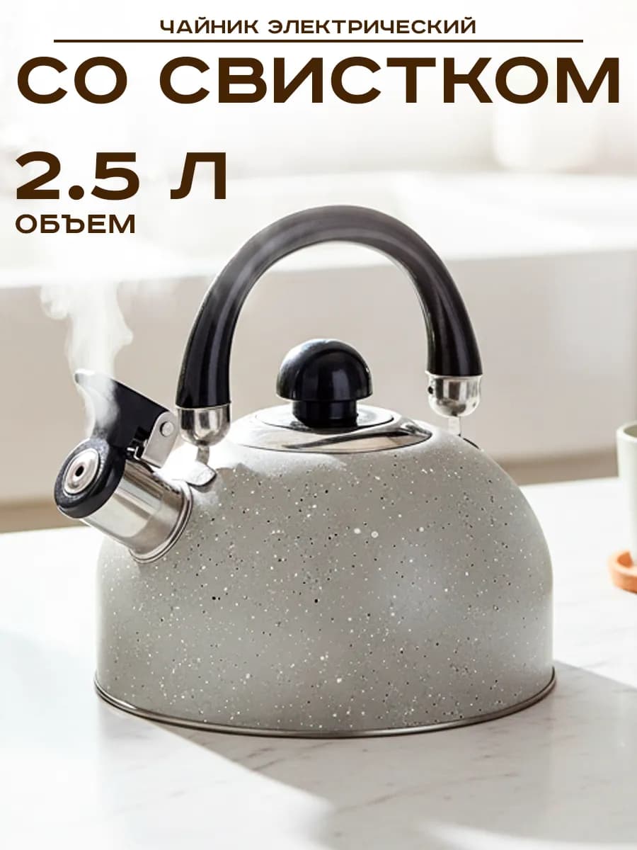 Чайник для плиты стальной 2,5 л