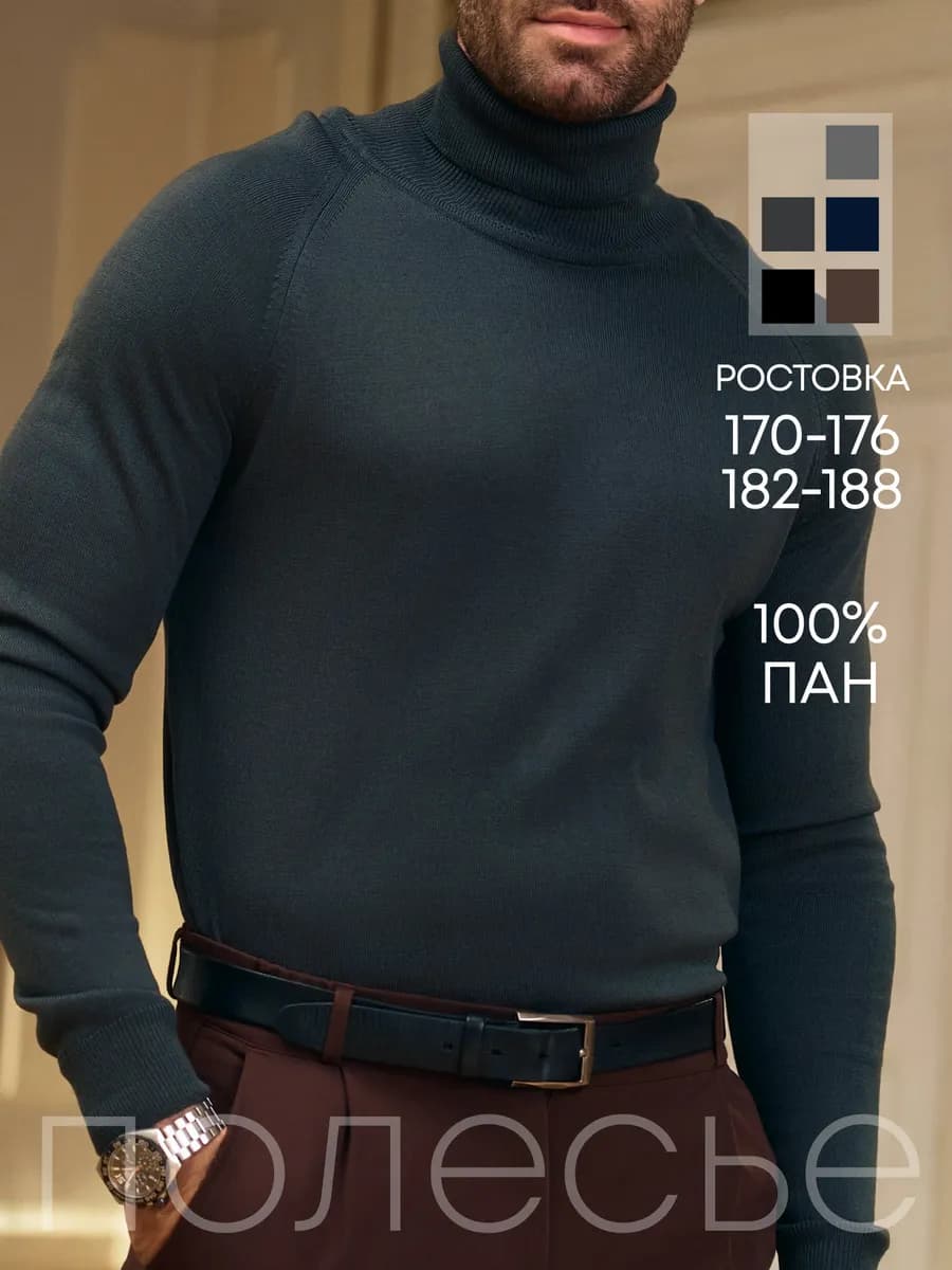 Водолазка мужская с высоким горлом утепленная классическая - фото 1