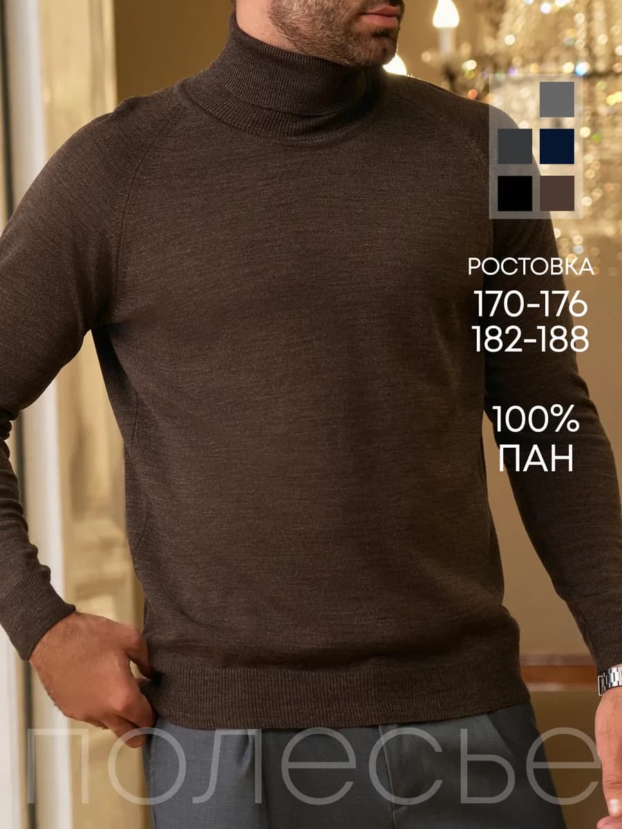 Водолазка мужская с высоким горлом утепленная классическая
