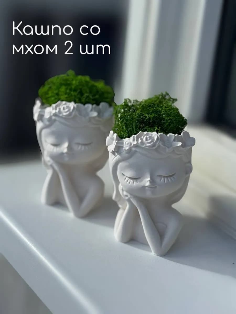 Кашпо со мхом 2 шт