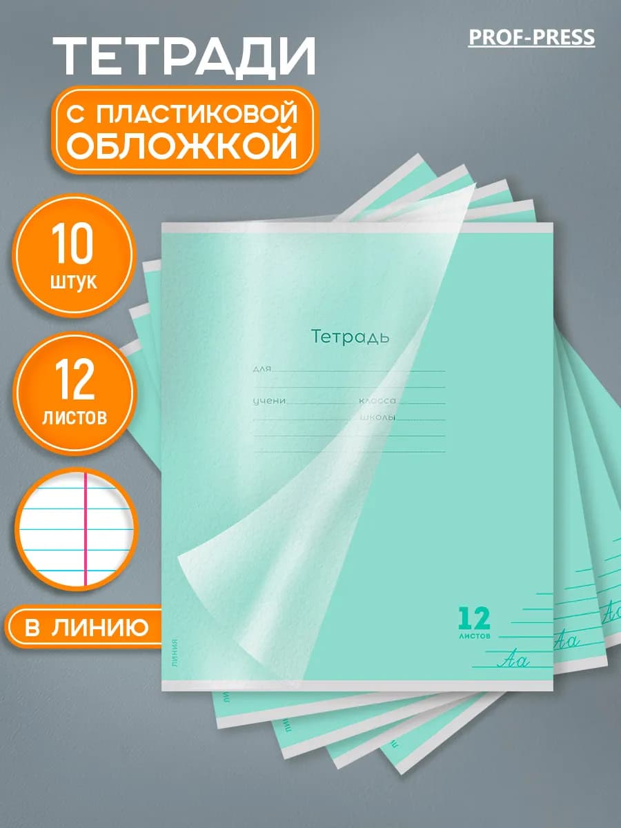 Тетрадь 12 листов в линейку 10 штук с пластиковой обложкой