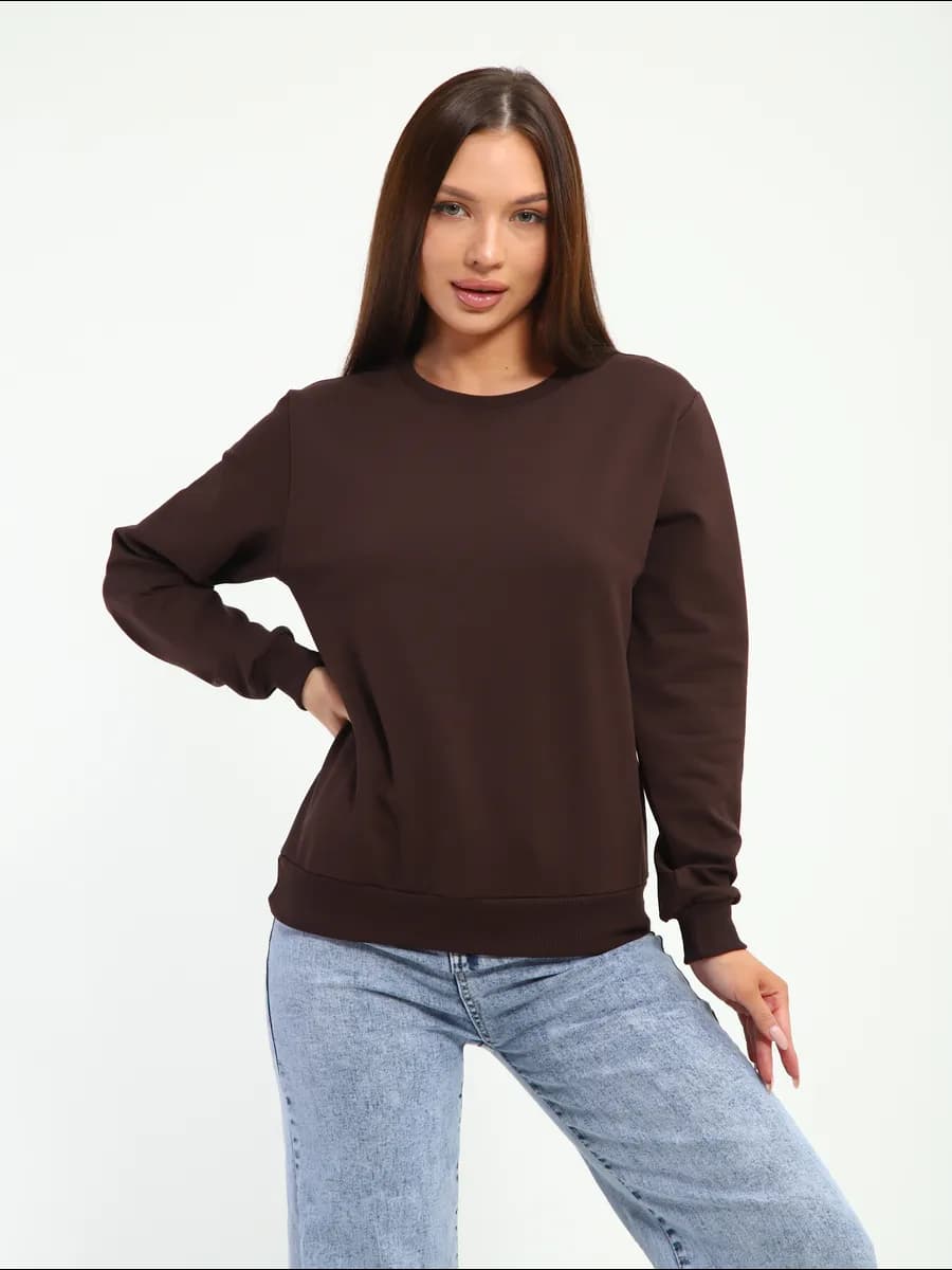 Кофта однотонная свитшот базовый без начеса