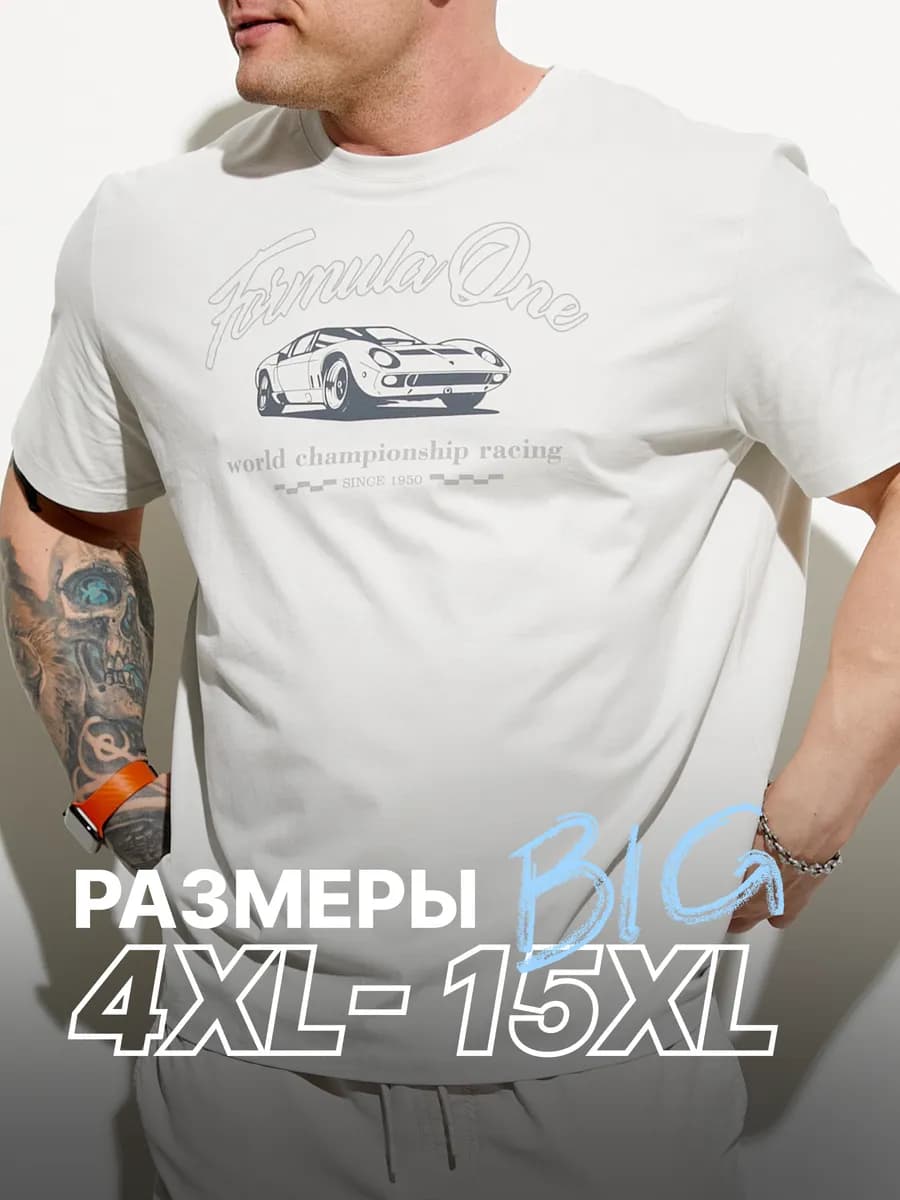 Футболка мужская с принтом и круглым вырезом