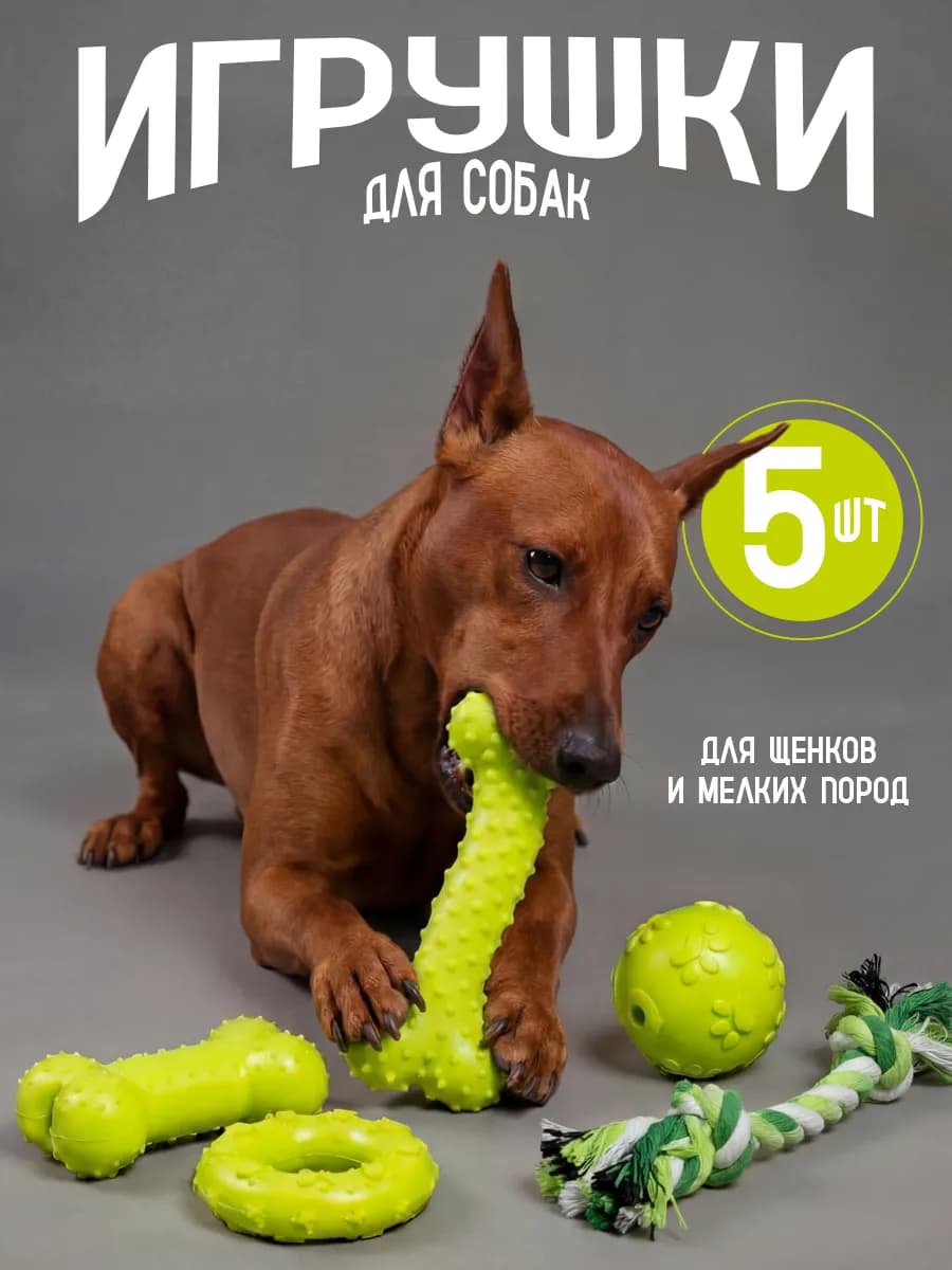Набор игрушек для щенков и собак мелких и средних пород