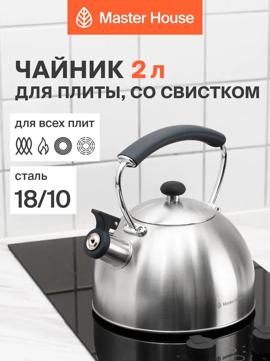 Чайник со свистком Gaspare стальной для всех видов плит, 2 л