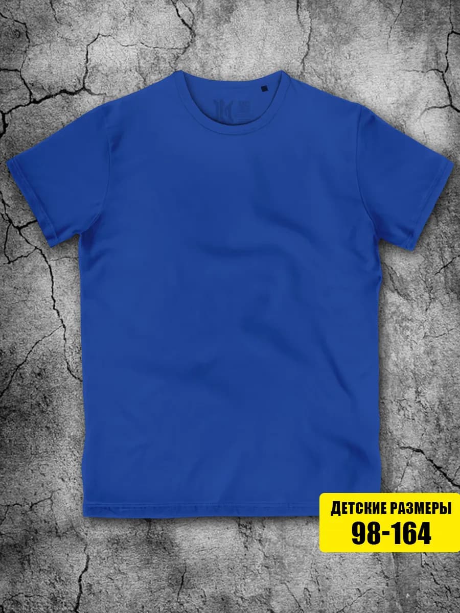Синяя футболка для мальчика для девочки на физкультуру - фото 1