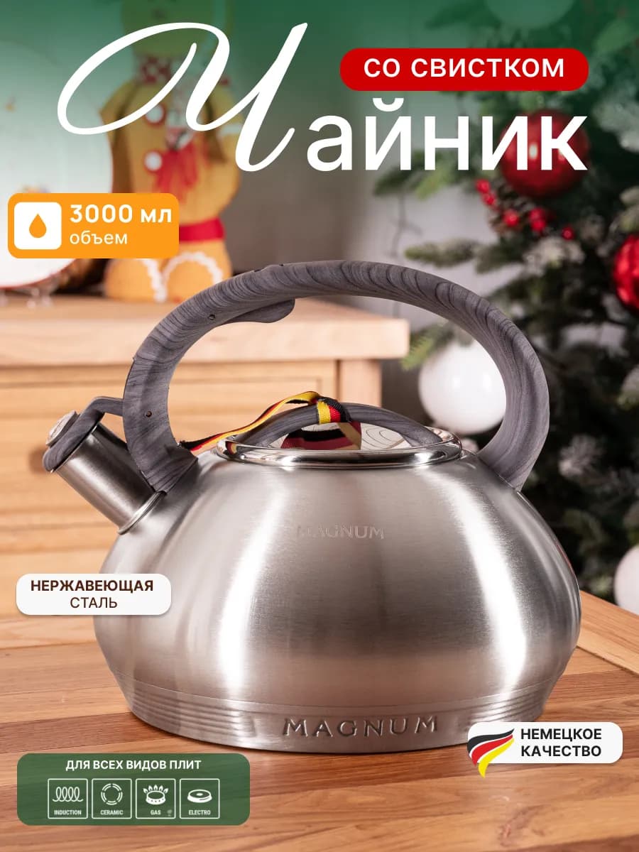 Чайник для плиты со свистком