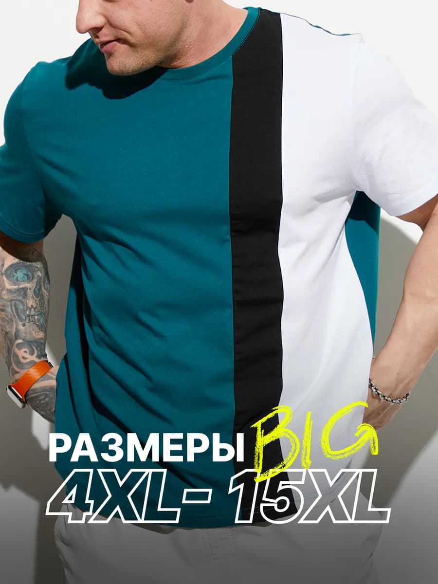 Футболка мужская с принтом и круглым вырезом