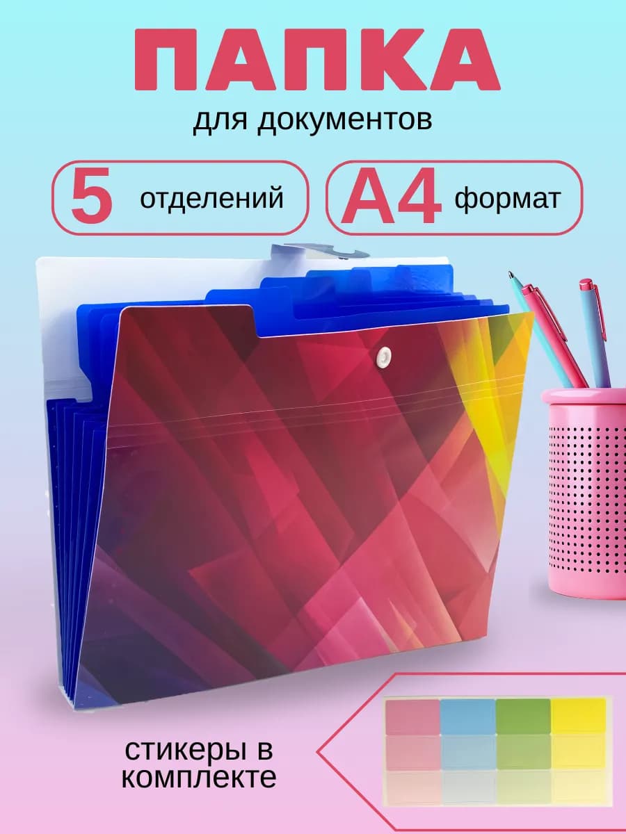 Папка для хранения документов пластиковая с отделениями А4