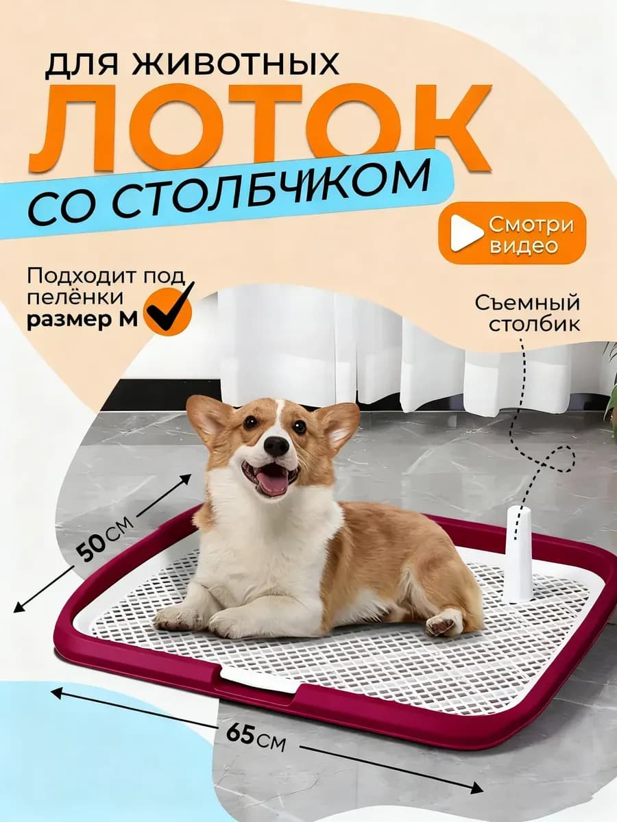 Лоток для собак под пеленку большой - фото 1