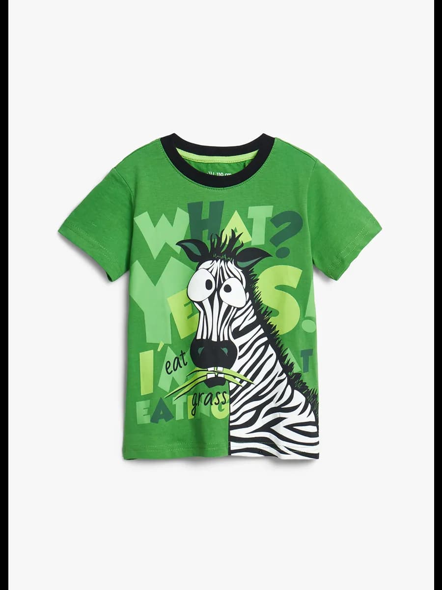 Футболка детская для мальчиков