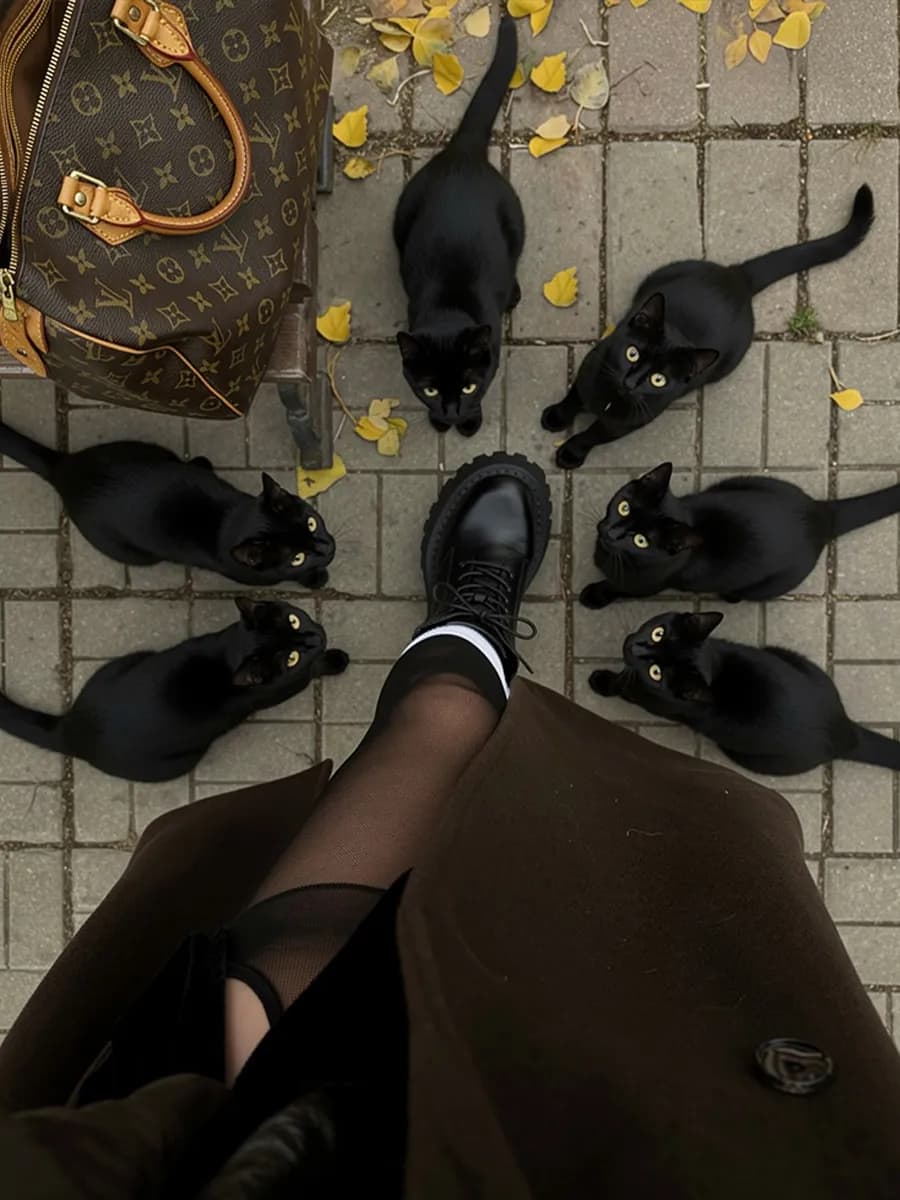 Ботинки женские демисезонные