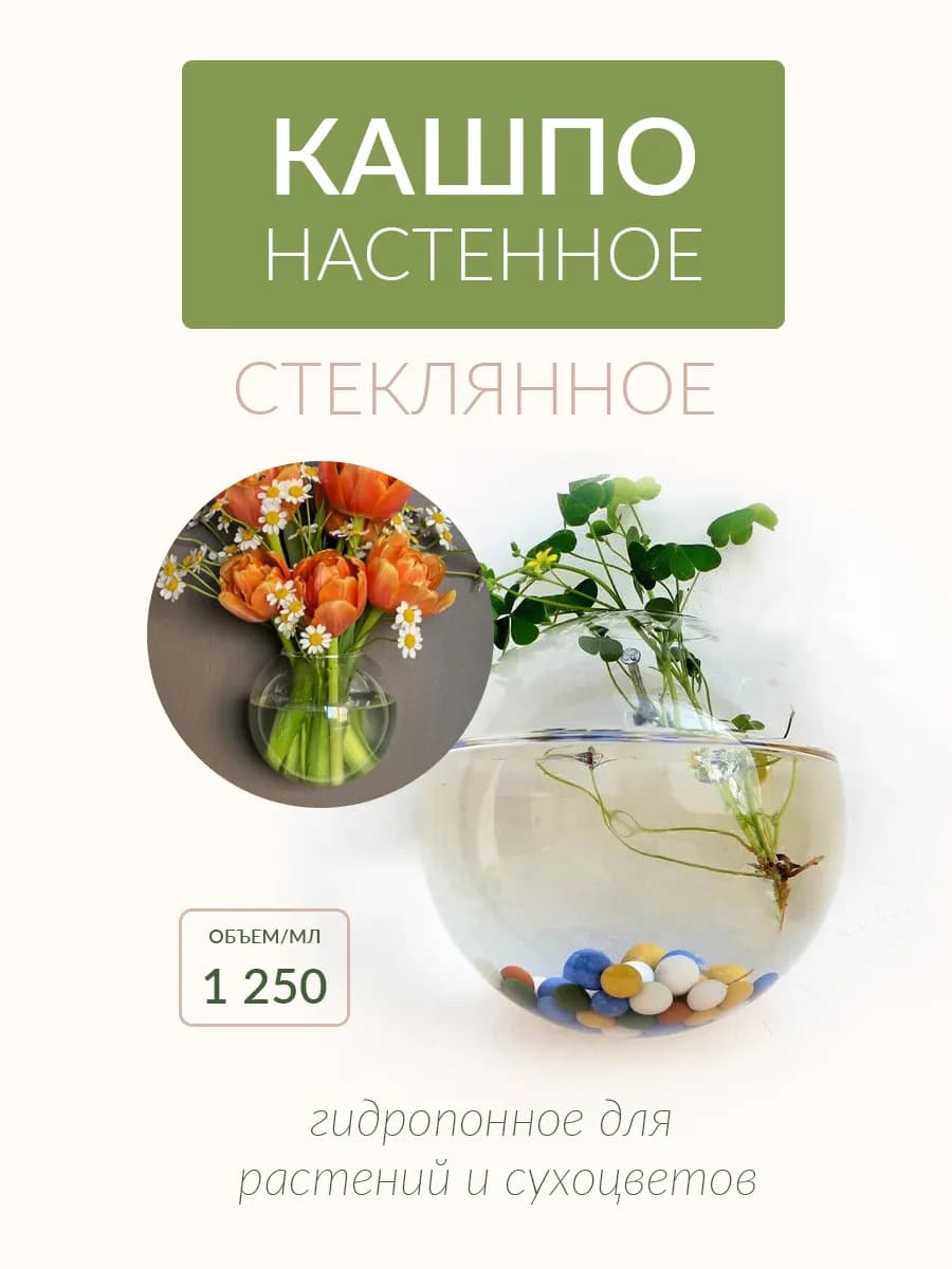 Гидропонное стеклянное настенное кашпо