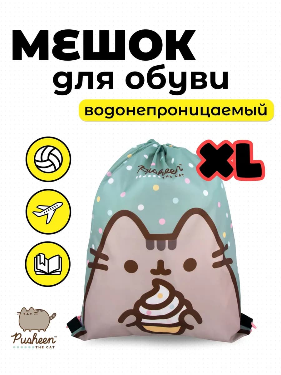 Мешок для сменной обуви школьный Пушин