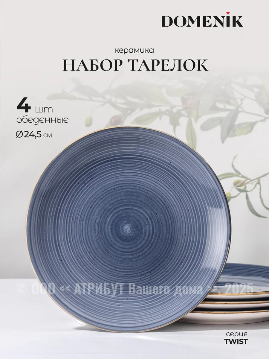 Тарелки набор 4 шт. обеденные Twist 24.5 см