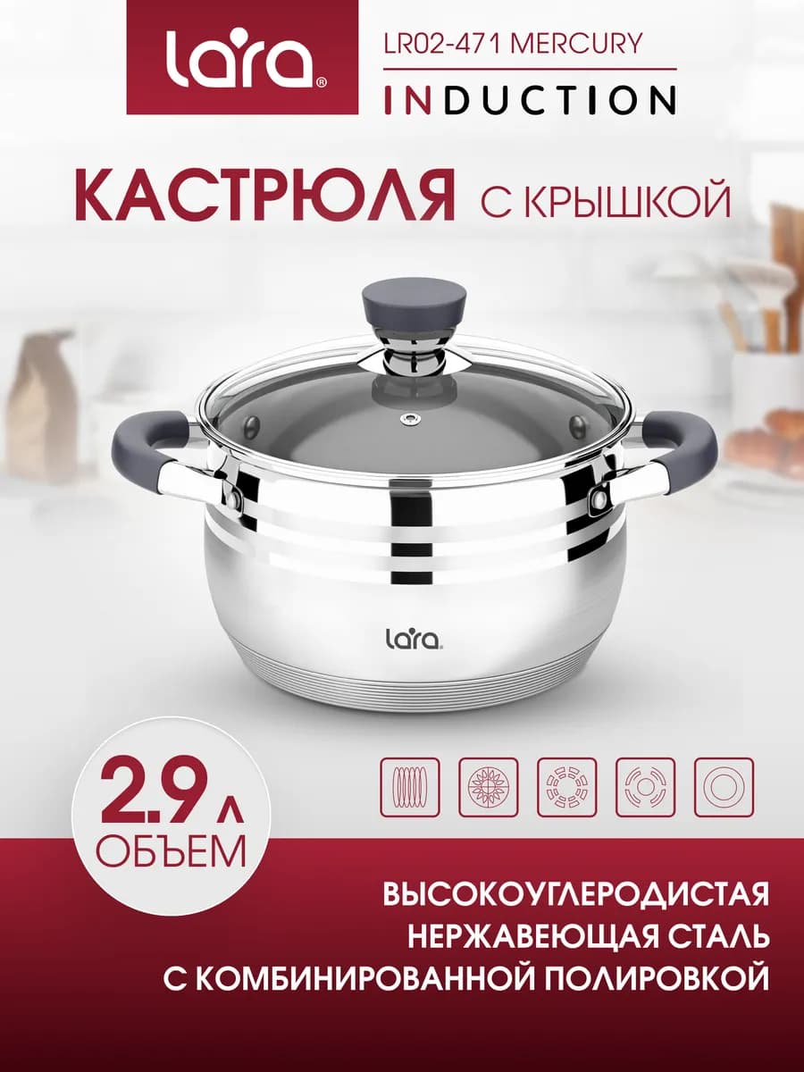 Кастрюля 2,9 л LR02-471 Mercury