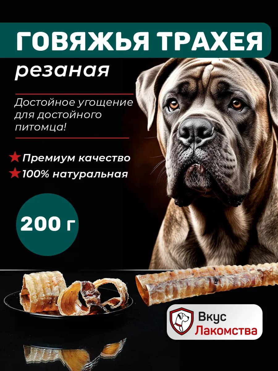 Трахея говяжья