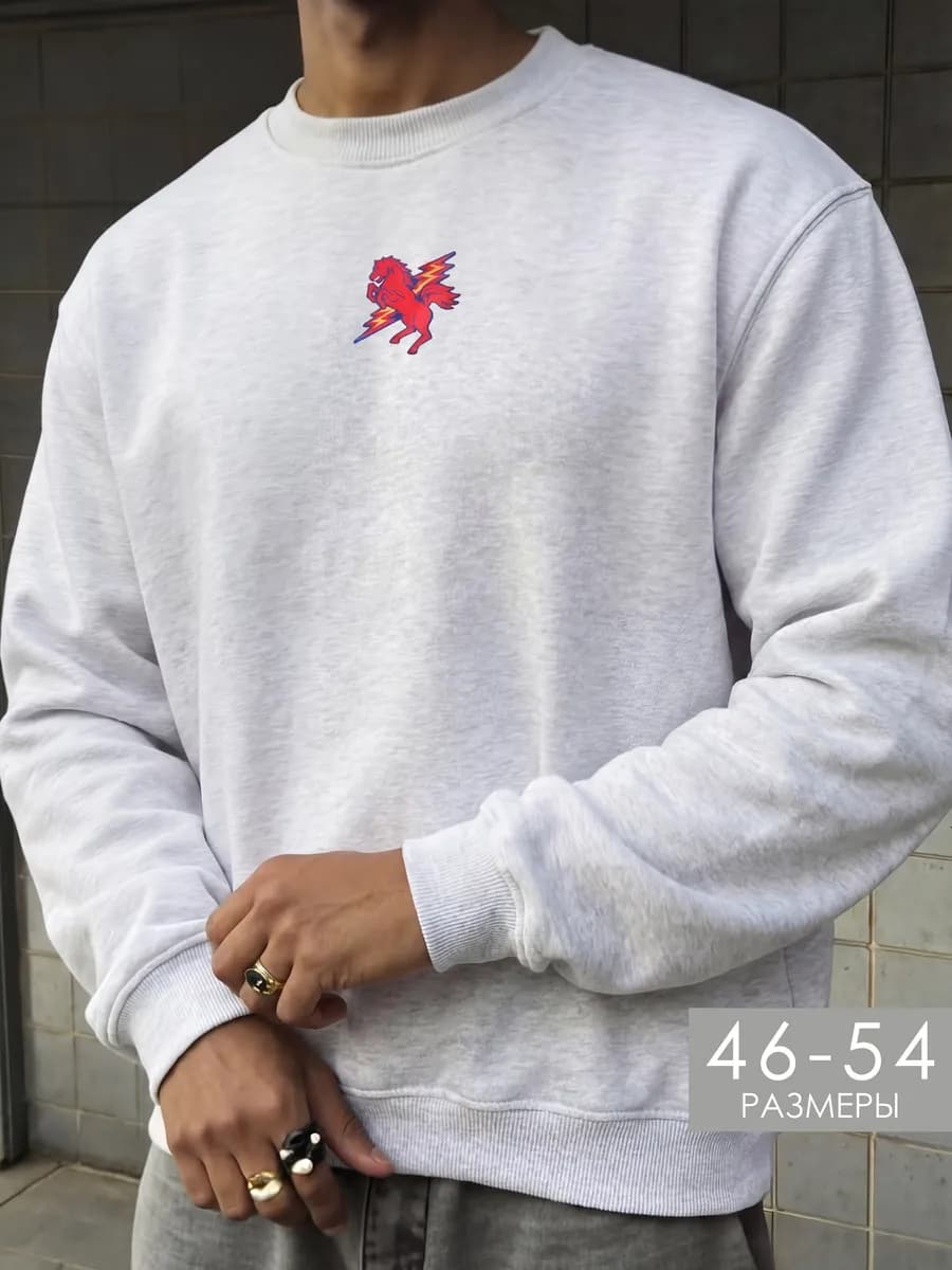 Свитшот серый с принтом без начеса - фото 1