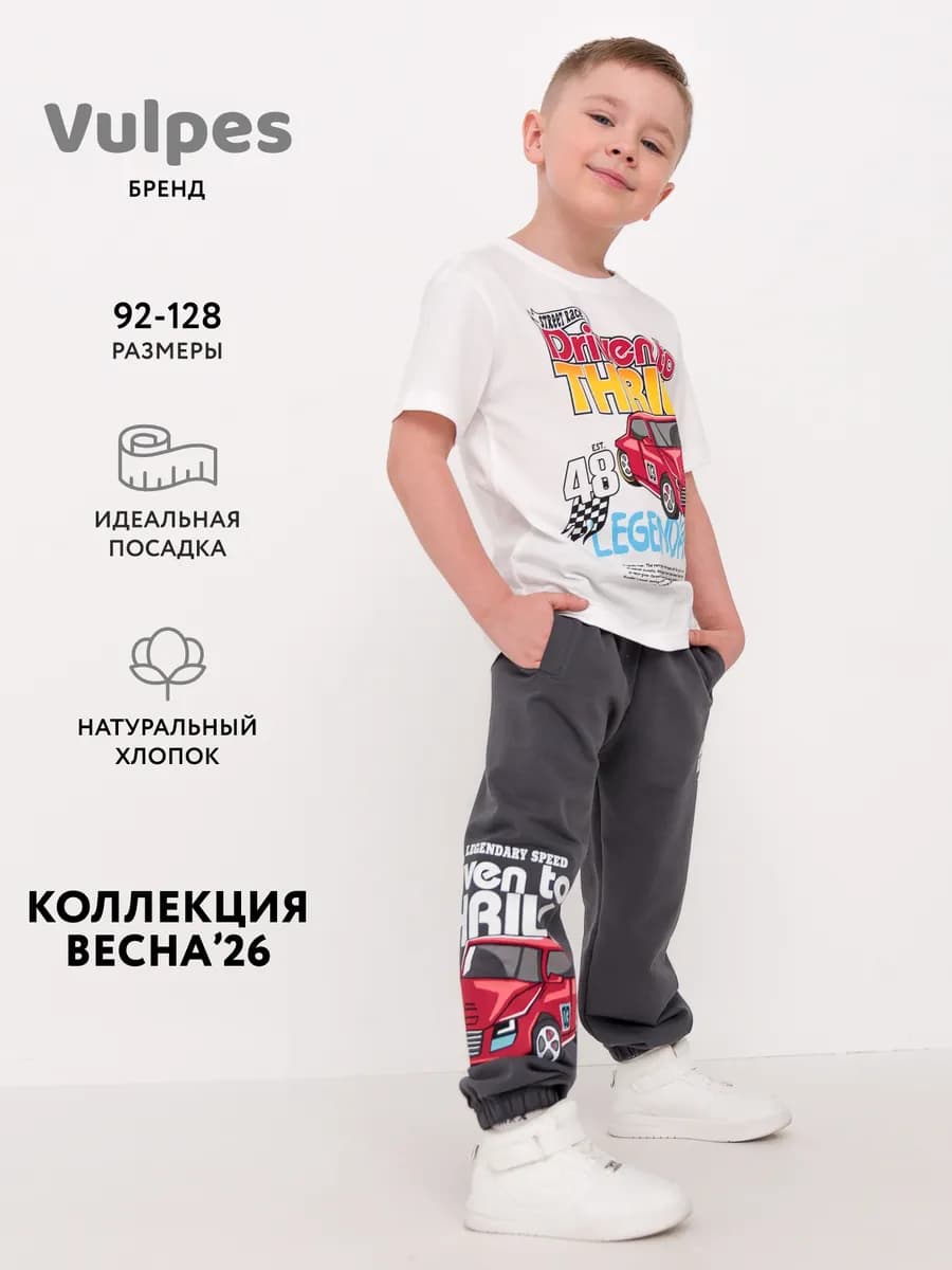 Брюки джоггеры
