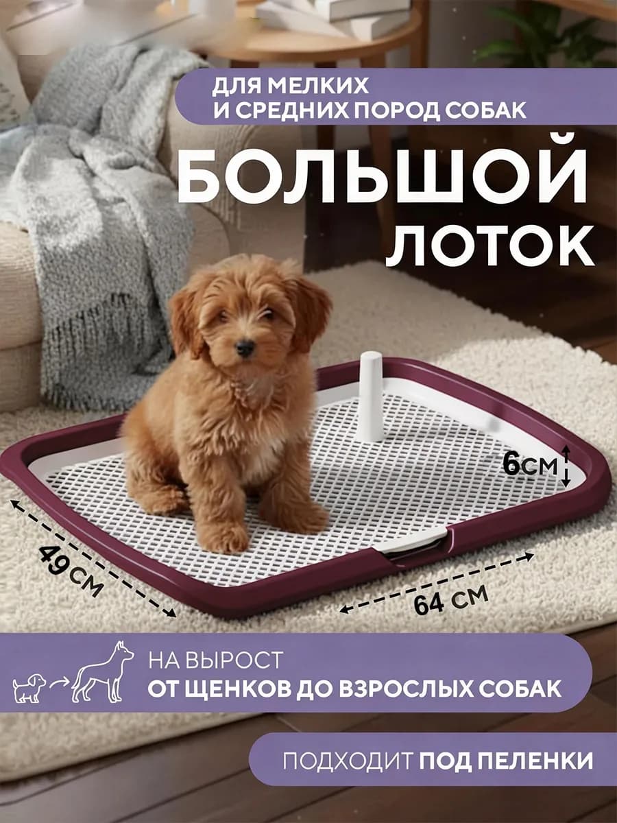 Туалет лоток для собак с сеткой под пеленку 64*49*6см
