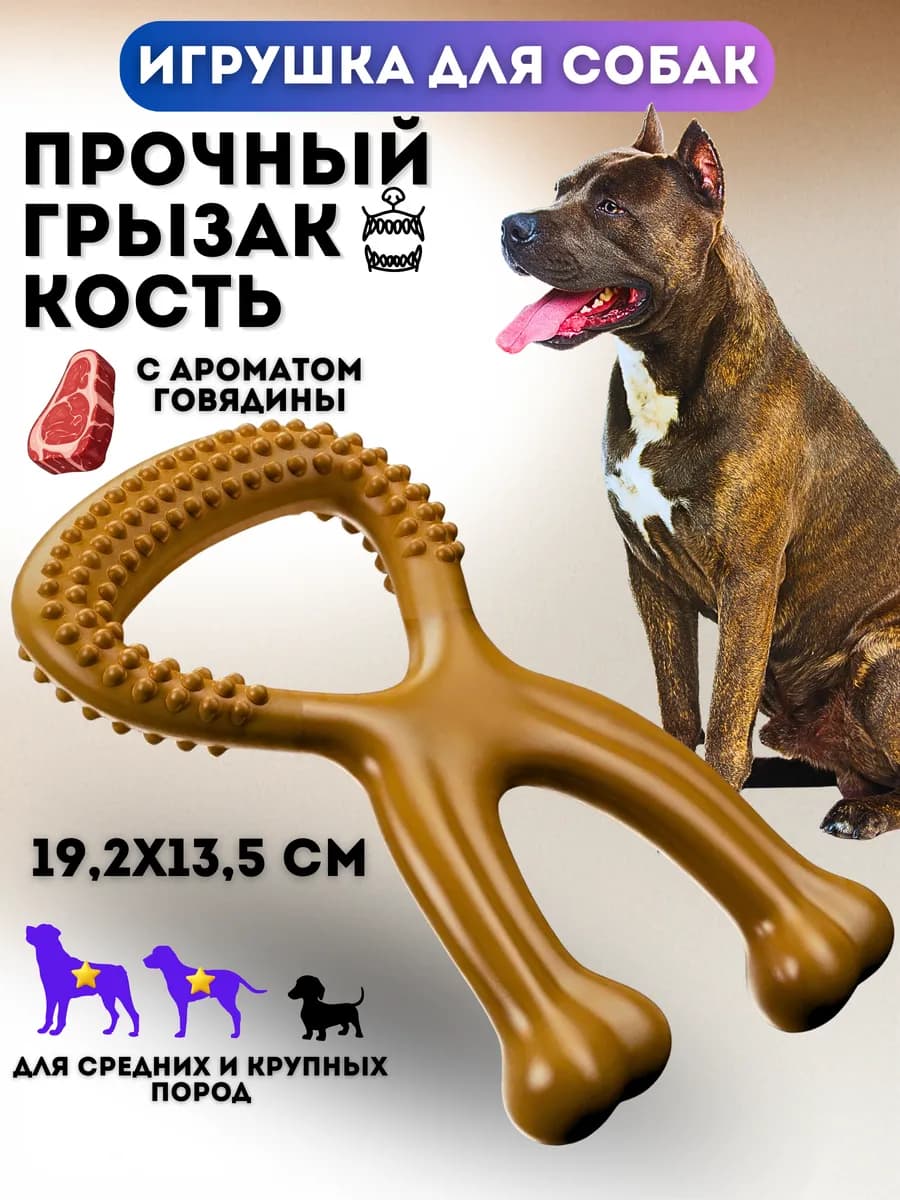 Жевательная игрушка для собак из нейлона Кость с ручкой