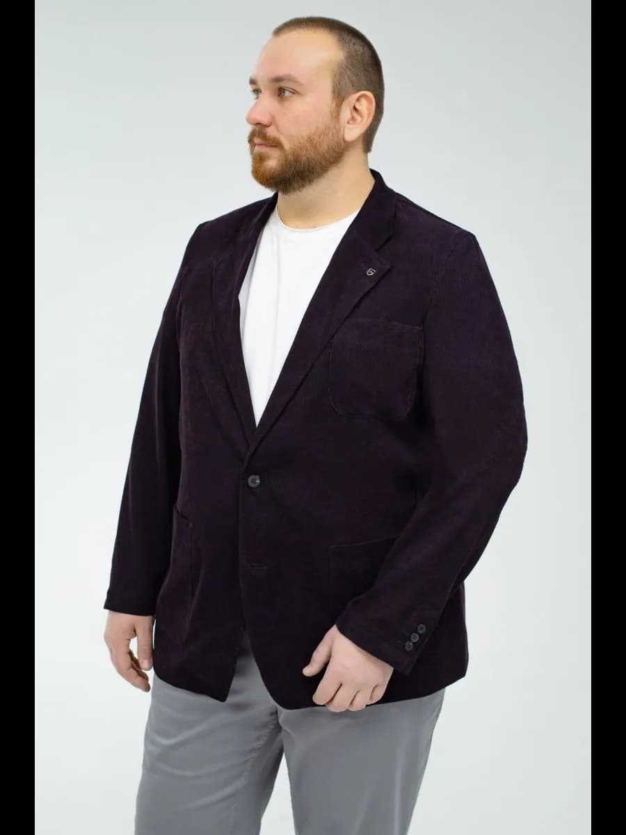 Пиджак мужской повседневный большого размера Галион - фото 1