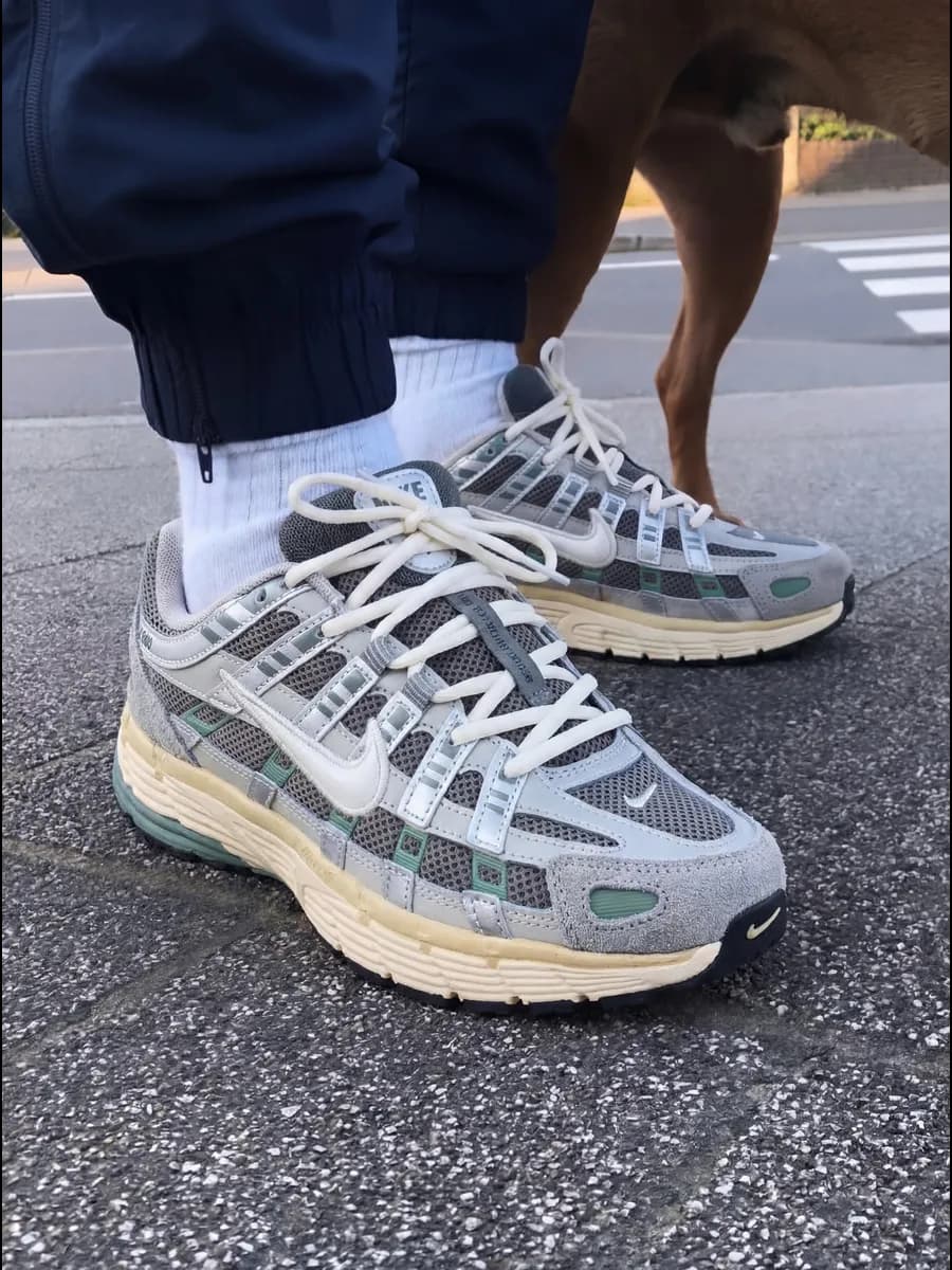 Кроссовки кеды nike P-6000 спортивные весенние