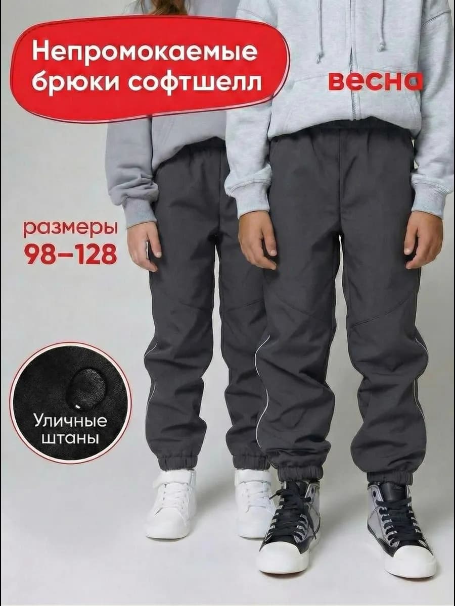 Брюки софтшелл серые