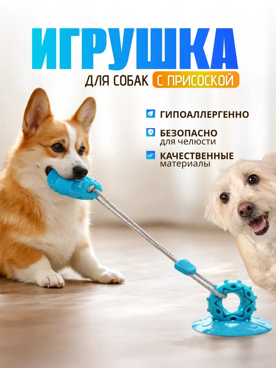 Игрушка для собак на присоске
