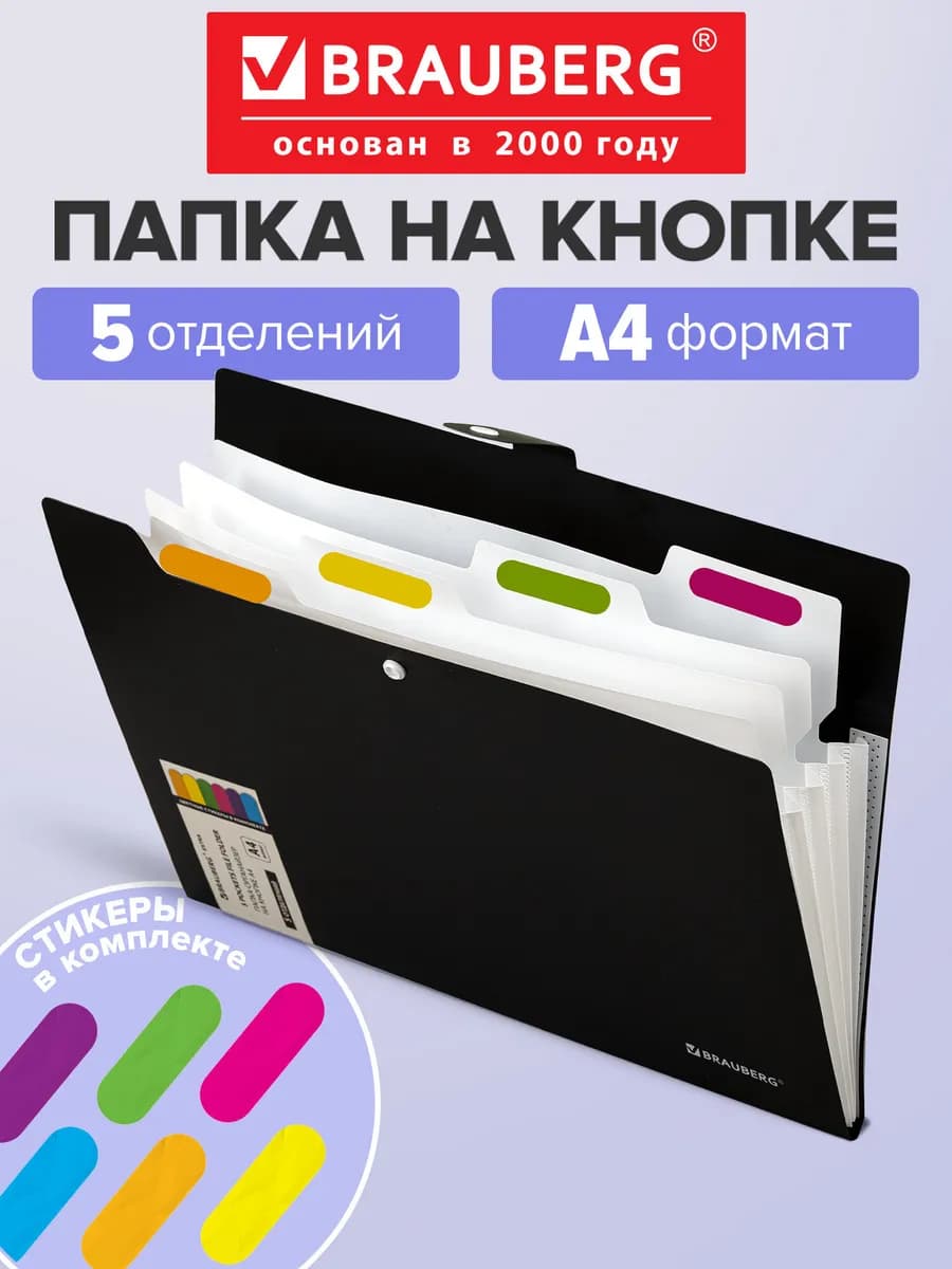 Папка для документов А4, органайзер на кнопке 5 отделений