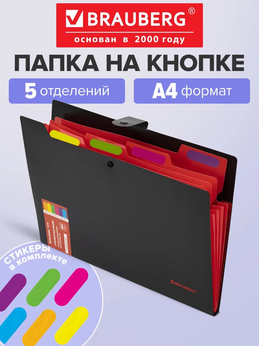 Папка для документов А4, органайзер на кнопке 5 отделений