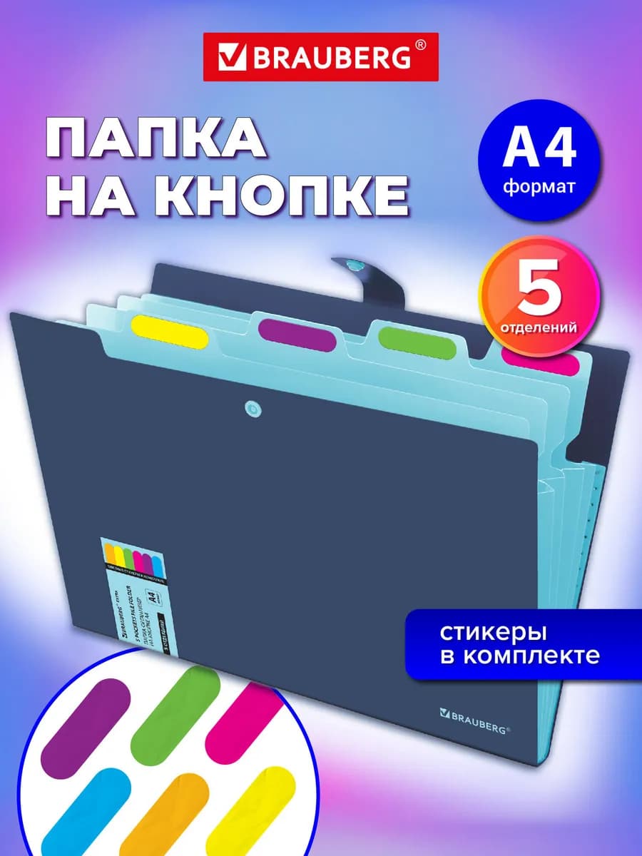 Папка для документов А4, органайзер на кнопке 5 отделений