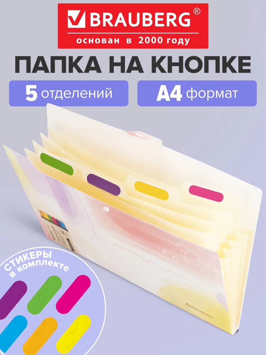 Папка для документов А4, органайзер на кнопке 5 отделений