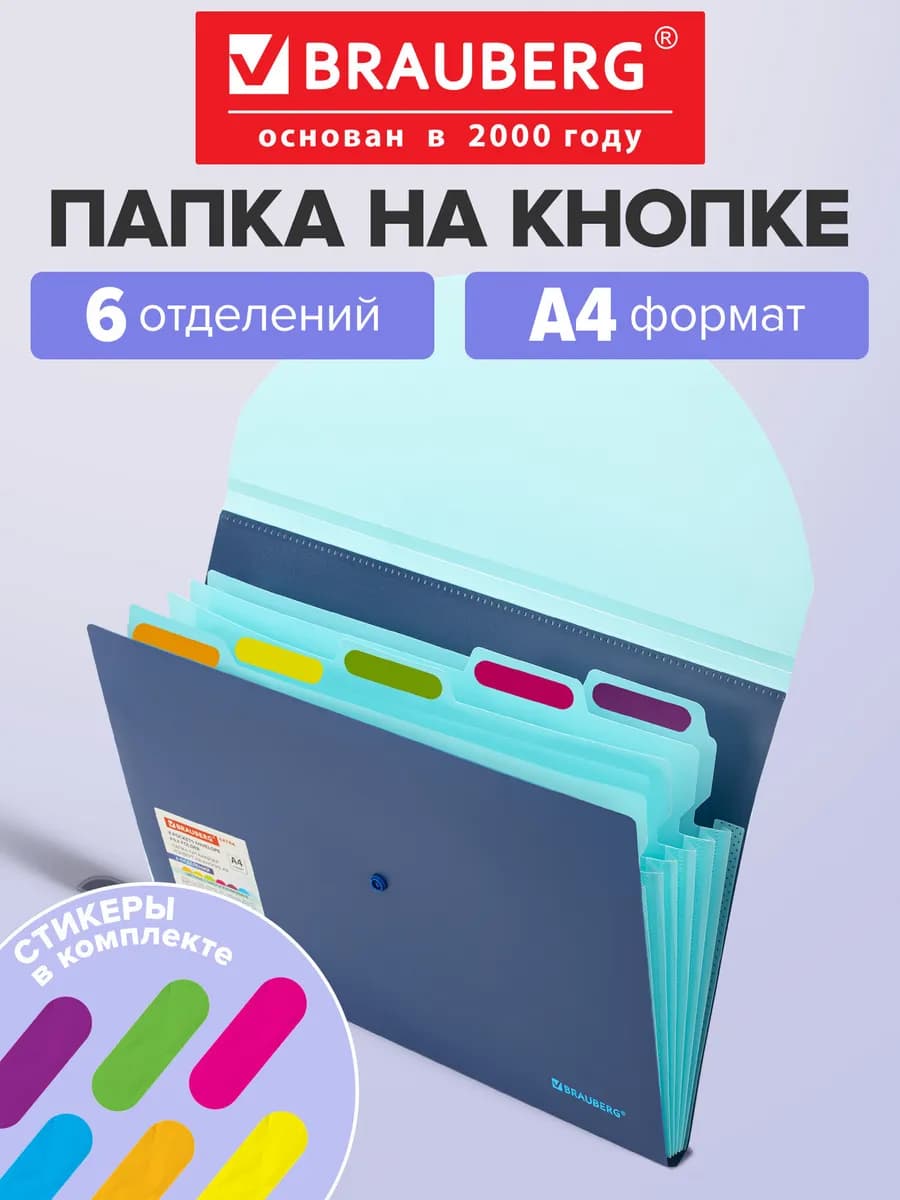 Папка для документов А4, органайзер на кнопке 6 отделений
