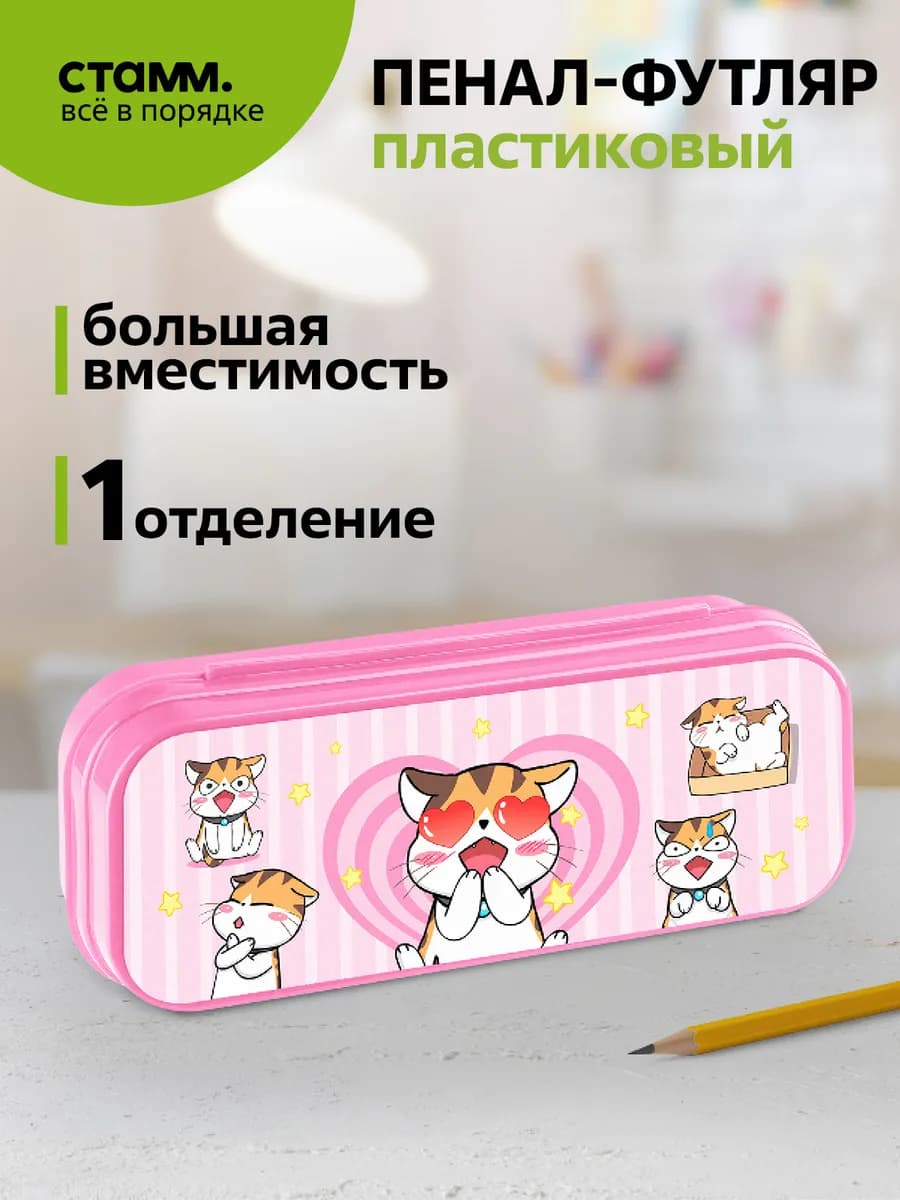 Пенал пластиковый