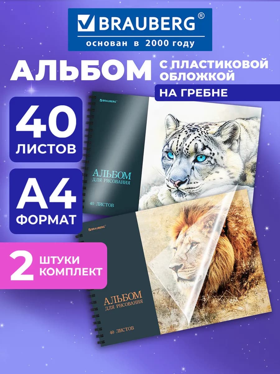 Альбом для рисования А4 в школу 40 листов, набор 2 шт