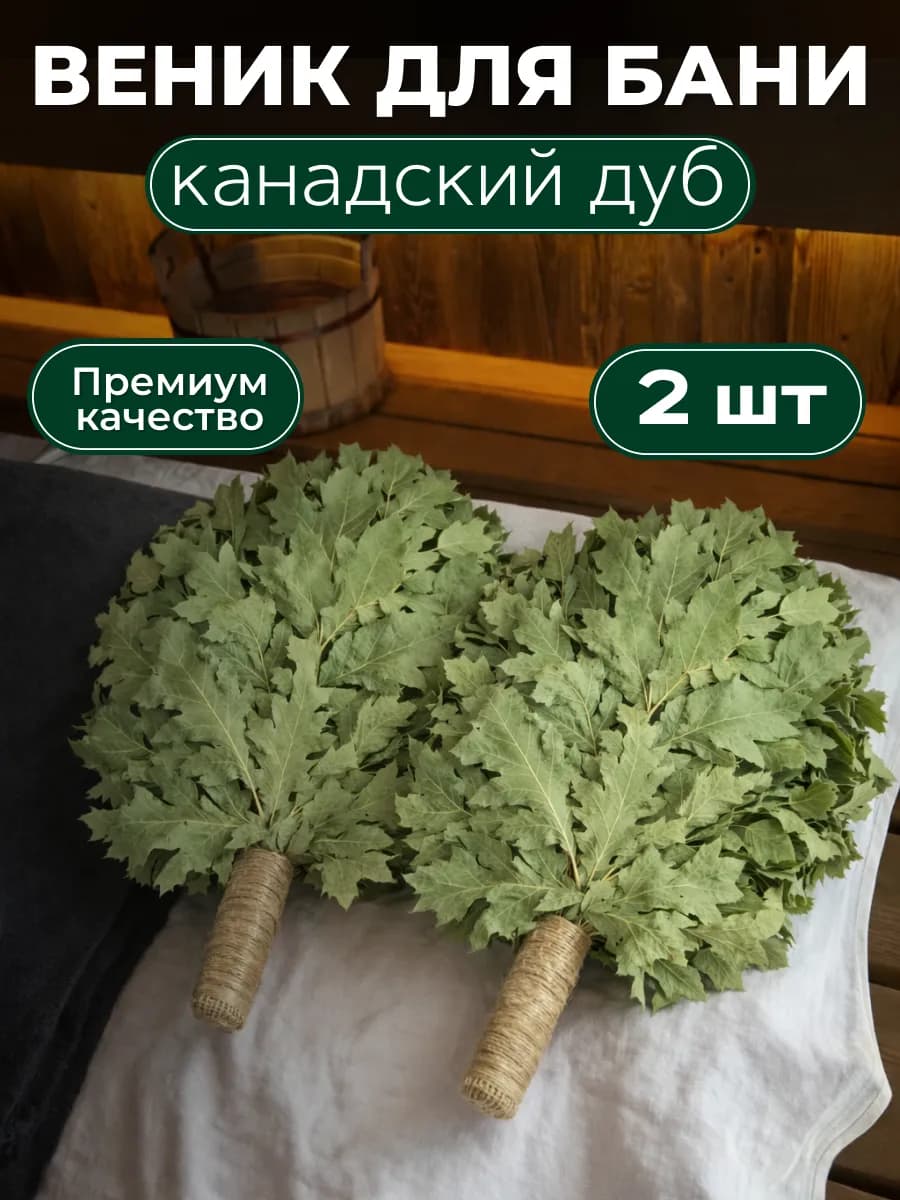 Веник для бани из Канадского дуба Премиум 2 штуки