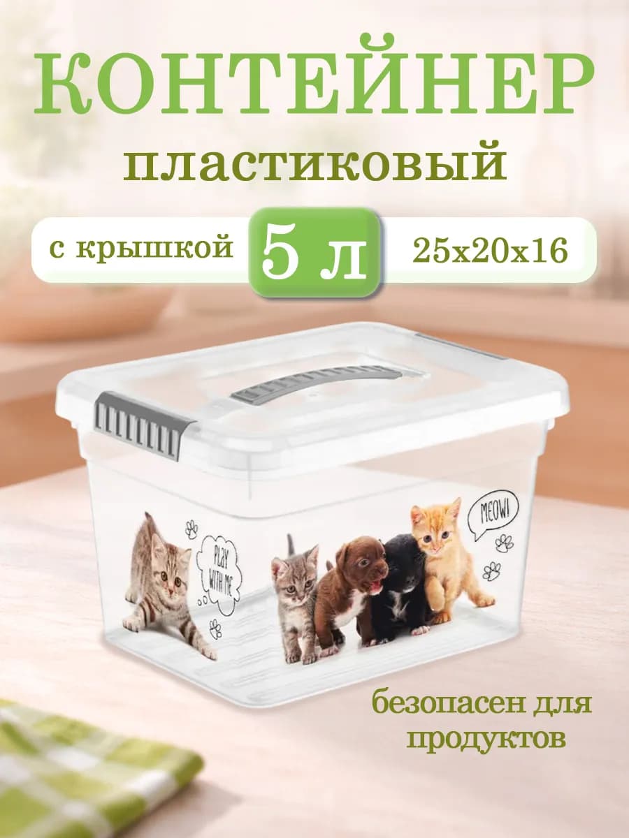 Контейнер для хранения с крышкой и ручкой 5 л