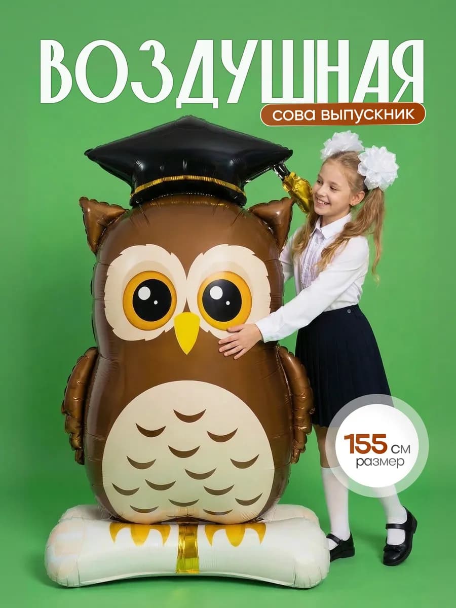 Воздушные шарики умная сова