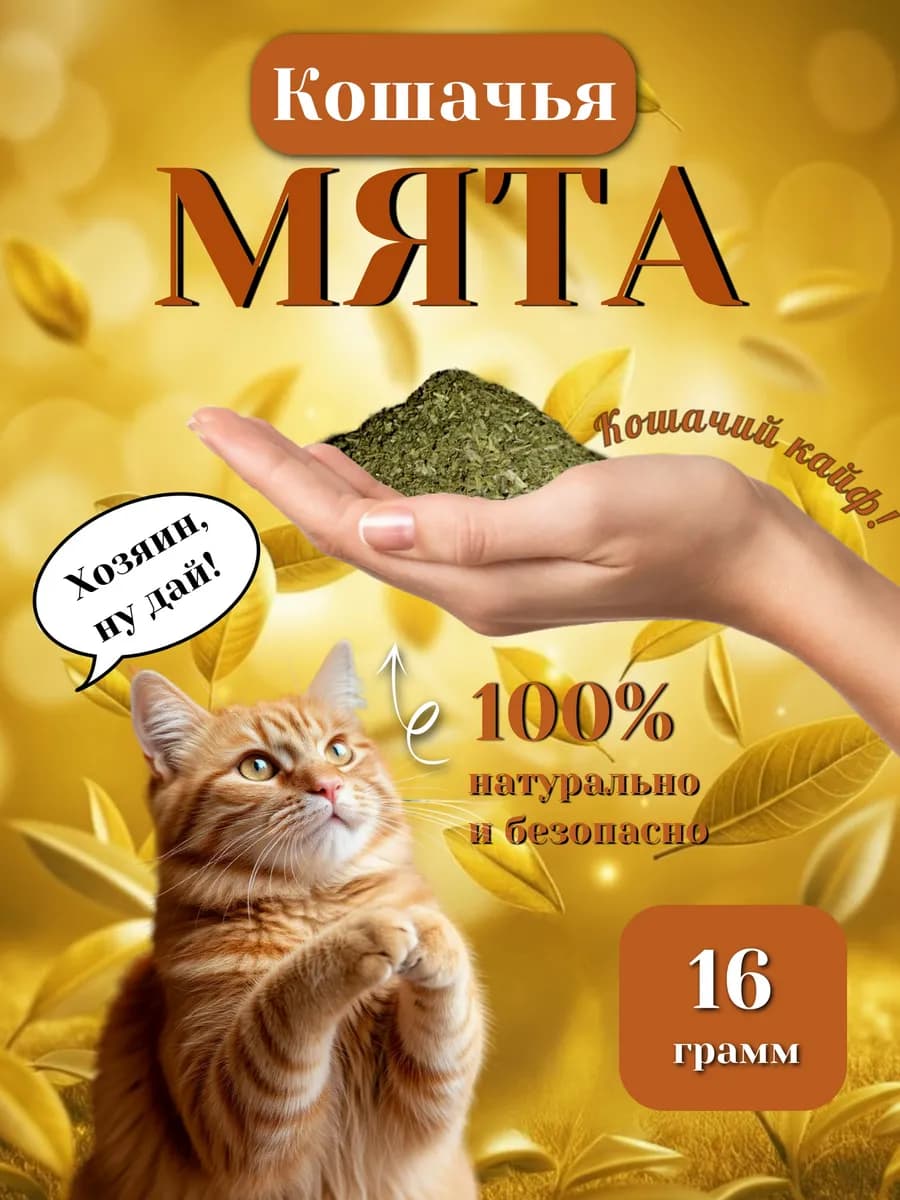 Мята кошачья