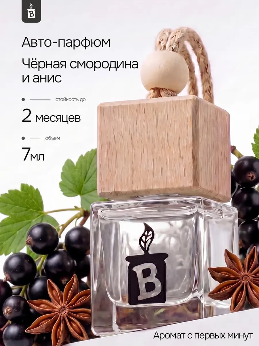 Ароматизатор в машину "Черная смородина и анис"