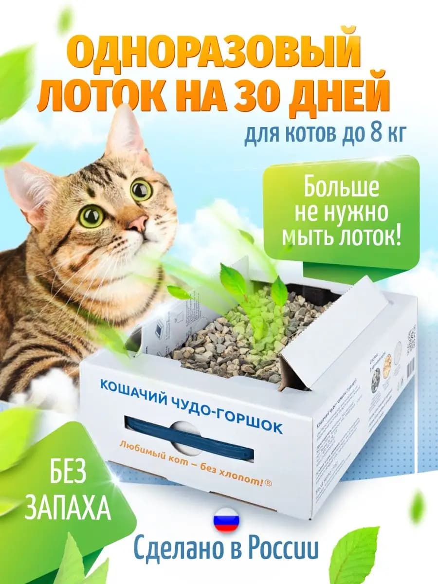 Лоток для кошек большой одноразовый
