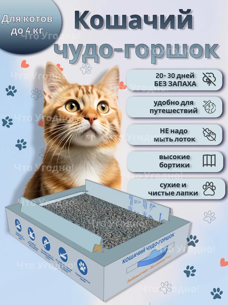 Лоток для кошек одноразовый