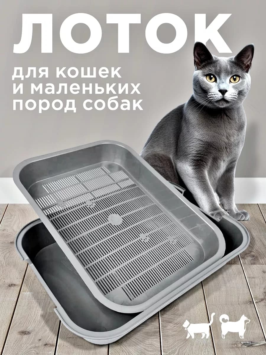 Лоток для кошек