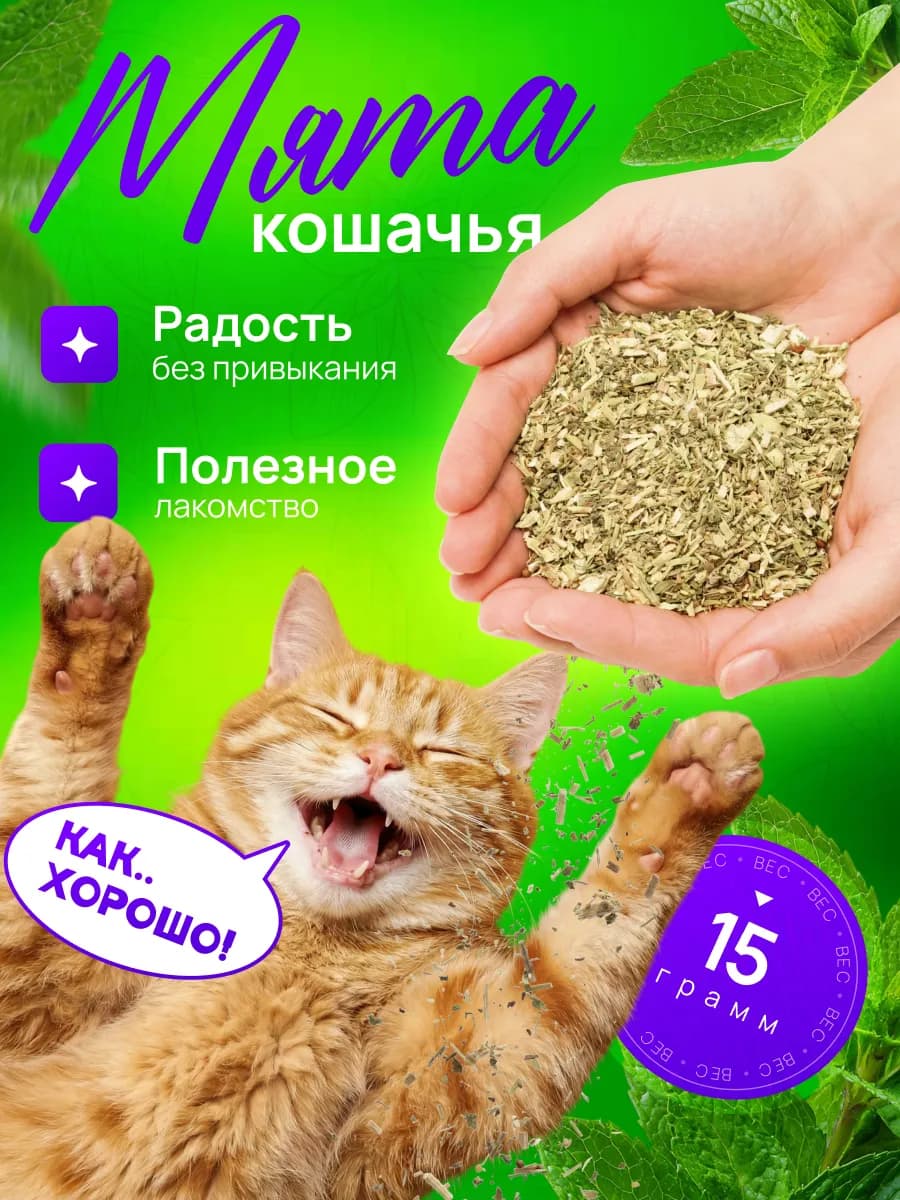 Лакомство кошачья мята 15 гр. сушенная