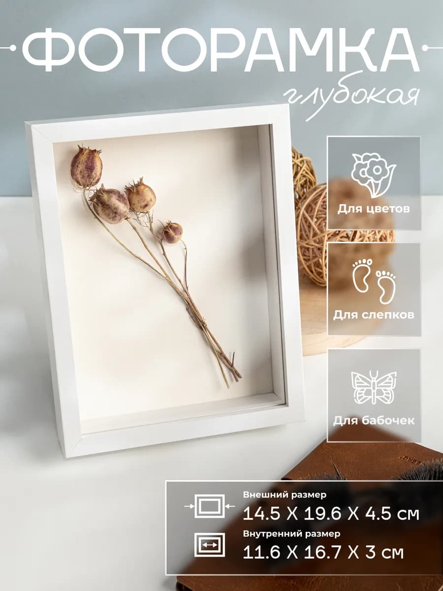 Энтомологическая глубокая рамка для насекомых и слепков