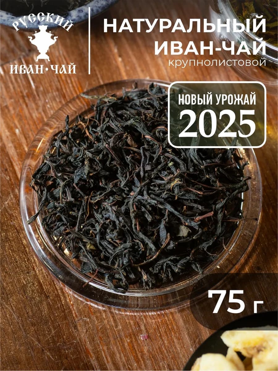 Крупнолистовой иван-чай классический