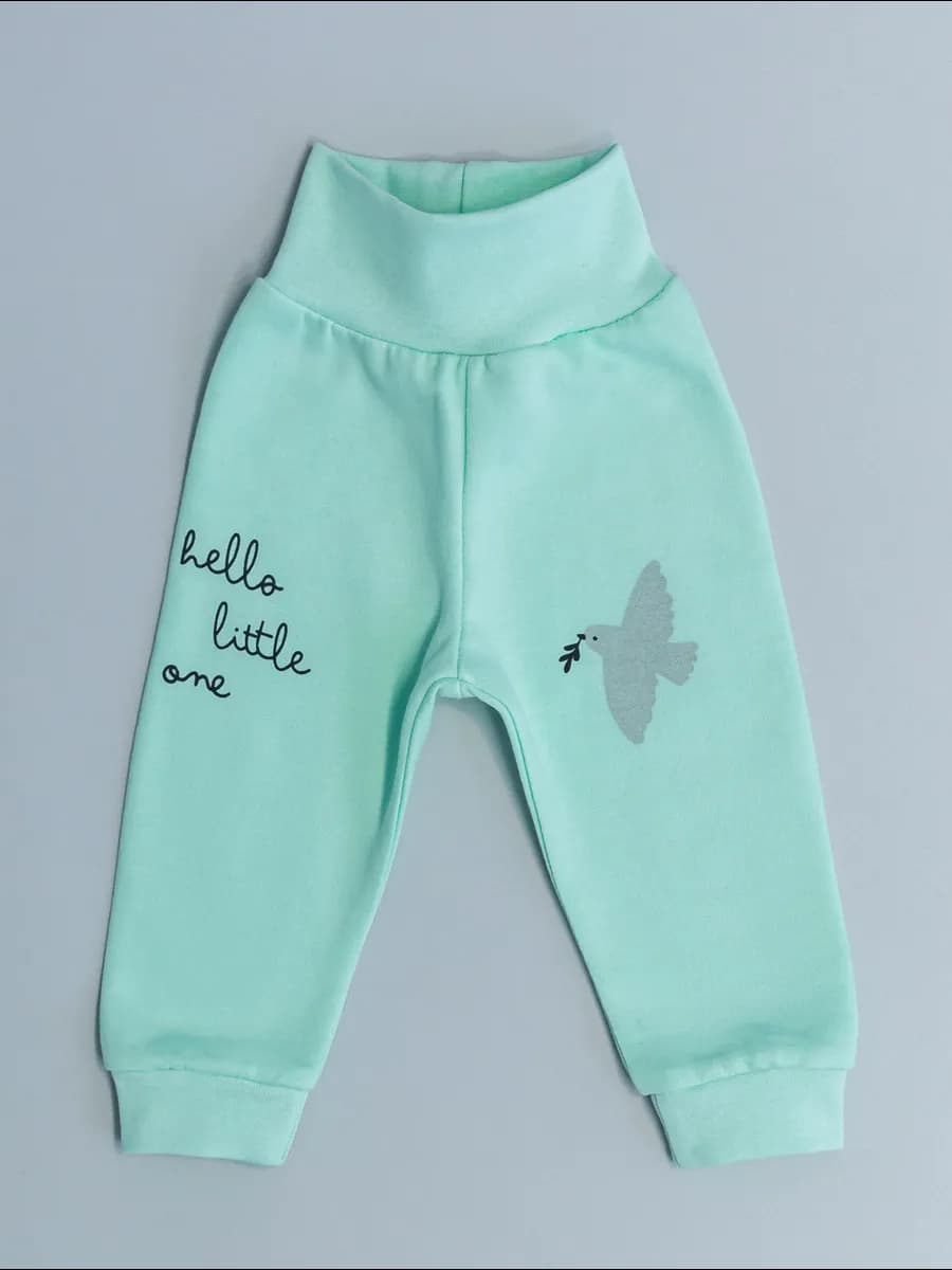 Брюки для новорожденных из футера с начесом